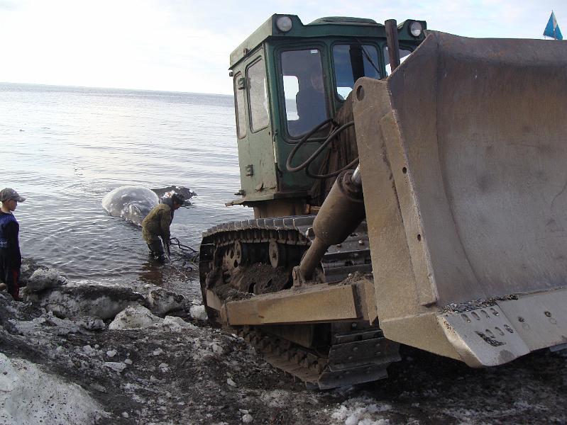 Siberia 264.jpg
